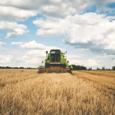 A (ausência de) rotina de um advogado especializado em agronegócio