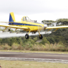 STF discutirá legalidade de uso de aviões agrícolas para dispersão de pesticidas