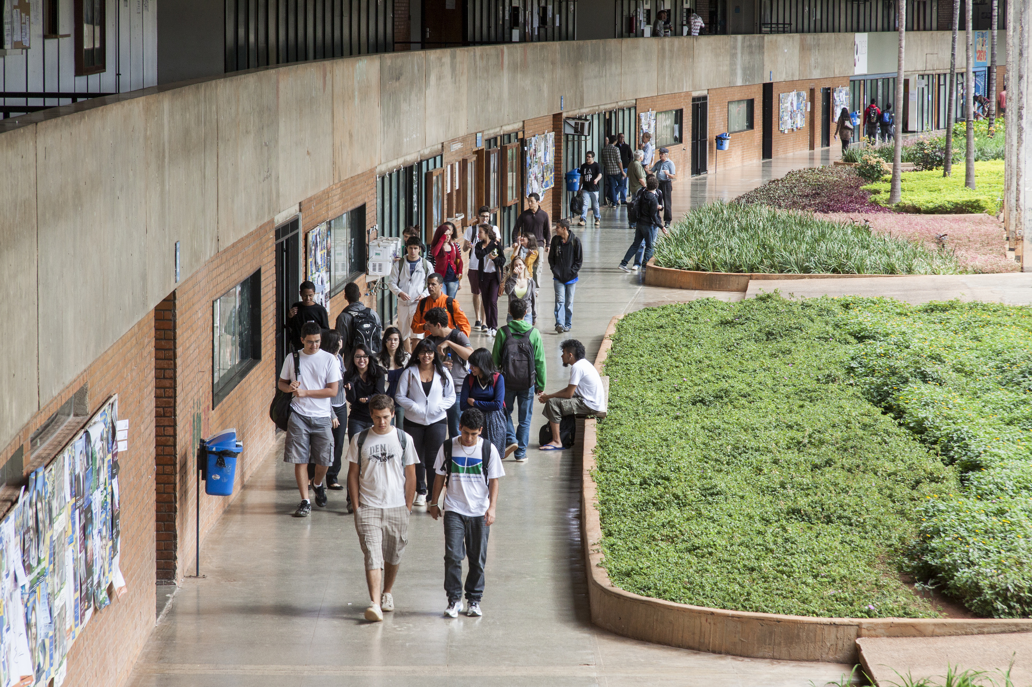 comprovante de vacinação; aulas-UNB-faculdade; UNB