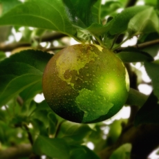 Acesso a tecnologias verdes e propriedade intelectual