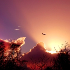 Open Skies: um novo paradigma no Brasil?