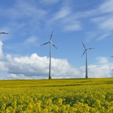 Green bonds: desafios regulatórios e uma agenda de pesquisa