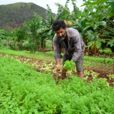 ADPF 769: o destino da reforma agrária nas mãos do STF