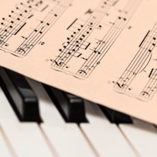 A música torta que corta a carne do Direito