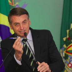 Decreto do armamento: o fígado e a razão