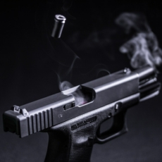 Armas contra a Constituição