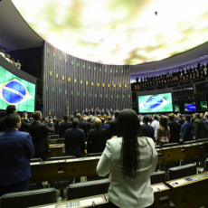 A (im)possibilidade de afastamento cautelar de parlamentares na ação de improbidade