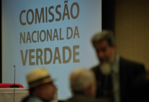 Direito Constitucional, Emilio Peluso Neder Meyer