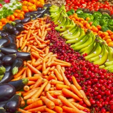 O cartão alimentação nunca integrou o salário de contribuição