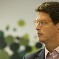 O ministro da boiada fez do limão uma limonada