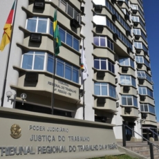 Diário de Carreira: advogada trabalhista, professora e pesquisadora