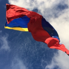 International cooperation in the Odebrecht case: Venezuela