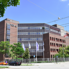 TÜV SÜD e Vale – deslizes individuais ou desvio organizacional?