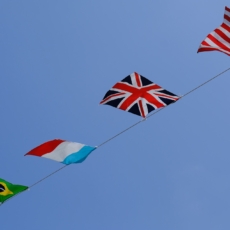 É vantajoso para o Brasil e a indústria nacional ?