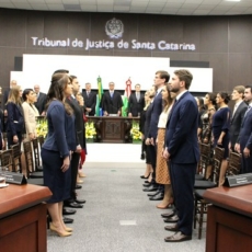 CCJ da Câmara admite PEC que veda aposentadoria de juízes como medida disciplinar