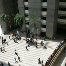 Advocacia trabalhista: ainda mais atraente ao jovem advogado