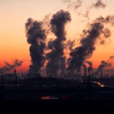 Política climática brasileira e seu potencial de judicialização