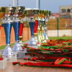 Propriedade intelectual e esporte: em busca da medalha de ouro
