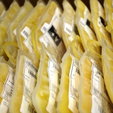 MPF faz nova recomendação contra desperdício de milhares de bolsas de plasma