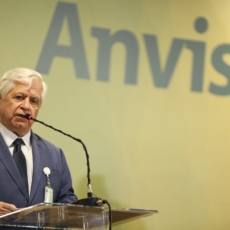 Anvisa vota consulta pública sobre plantio de cannabis na próxima semana