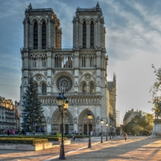O Museu Nacional, a Catedral de Notre-Dame e os departamentos jurídicos