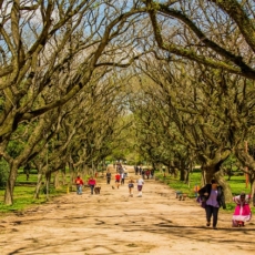 TRF4 abre concurso para cadastro de reserva de técnicos e analistas