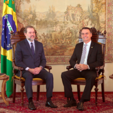 Supremo, governo Bolsonaro e oposição: seis meses de controle abstrato de constitucionalidade