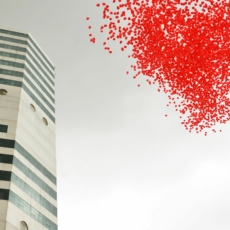 Política nacional de enfrentamento ao HIV/Aids, hepatites e infecções sexualmente transmissíveis