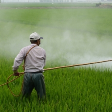 O que combustíveis, medicamentos e agrotóxicos têm em comum – e o que não têm