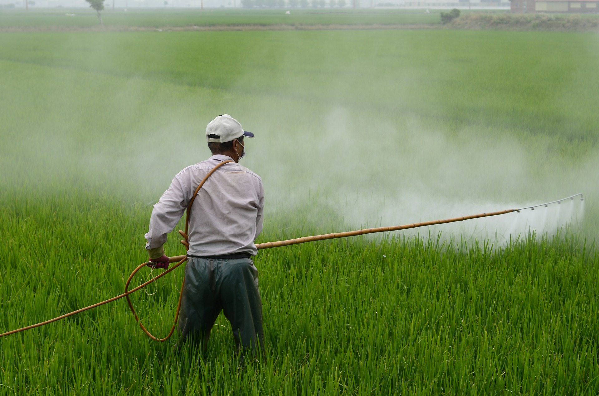 agrotóxicos CNA STF