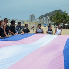 A alteração de gênero e seus reflexos na concessão da aposentadoria