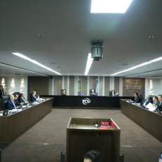 Responsabilidade solidária em consórcio para o TCU