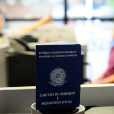 A Medida Provisória nº 905/19 e o prêmio meritocrático