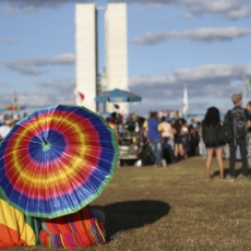 De que modo o movimento LGBT interpreta a Constituição?