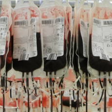 Testemunha de Jeová: inviolabilidade ao direito de recusa a transfusão de sangue