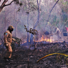 Direito Financeiro e meio ambiente