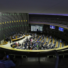 A radiografia dos projetos de lei na Câmara em 2019