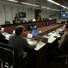 O amicus curiae no Tribunal de Contas da União