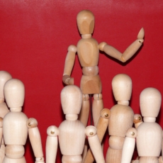 Os delitos de organização no Direito brasileiro