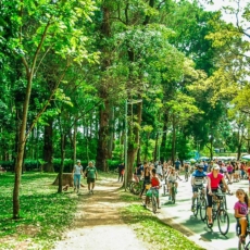 Mercado de concessão de parques públicos urbanos ganha impulso