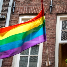 Jeremy Waldron e a criminalização da homofobia