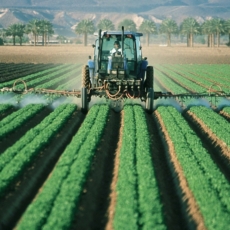Pesticidas vs. agrotóxicos: tecnologia para além da ideologia