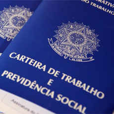 Os jabutis e a extinção da multa de 10% do FGTS