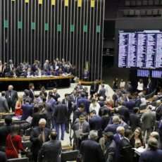 Violência institucional de gênero, inovação e direitos humanos