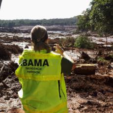 Brumadinho e Áquila: o problema das imputações penais ambientais