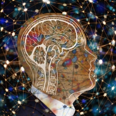 Da tecnologia à humanidade: os atuais desafios do ensino do Direito