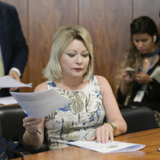 PSD aciona STF para evitar que Mato Grosso fique sub-representado no Senado