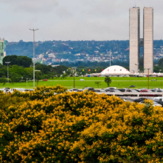O que esperar e não esperar da pauta tributária de 2020?