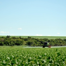 Rede aciona STF contra portaria do MAPA que ampliou liberação de agrotóxicos