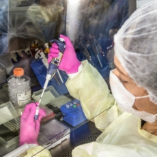 Requisição administrativa em tempos de pandemia